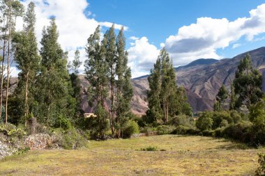 Cusco Peru 'daki Kutsal Vadi' deki Yanahuara kasabasının resmi. And Dağları 'ndaki Peru kırsalında.