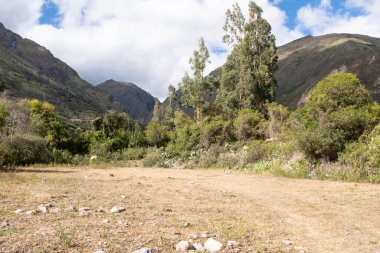 Cusco Peru 'daki Kutsal Vadi' deki Yanahuara kasabasının resmi. And Dağları 'ndaki Peru kırsalında.