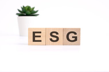 ESG - Çevresel Sosyal Yönetim - beyaz arkaplanda tahta küplerin kısaltması