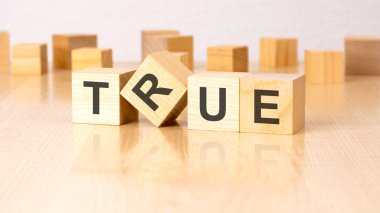 Masanın üzerinde TRUE yazan dört tahta blok. kopyalama alanı. beyaz arkaplan