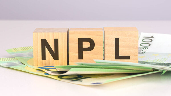 npl - текст на деревянных кубиках с купюрами евро. вид спереди