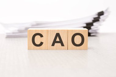 ahşap bloklarda metin. Geçmişi bir iş belgesi. Finans kavramı. beyaz arkaplan