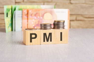İş konsepti. Gri bir yüzeyde, Euro ve ahşap bloklar ile PMI - Proje Yönetim Enstitüsü 'nün kısaltması