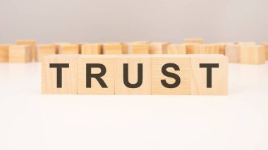 Gri arkaplanda tahta bloklar ve farklı ahşap bloklardan oluşan TRust metni