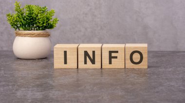Ahşap bloklar üzerindeki INFO konsepti ve gri arka plandaki saksıda çiçek