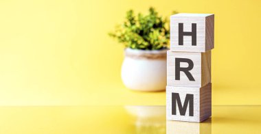 Tahta bloklardaki HRM alfabesinin harfleri, sarı arkaplandaki yeşil bitki. HRM - İNSANLIK GİRİŞMİ 'nin kısaltılmışı