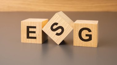 Kahverengi arka planda ESX yazılı ahşap küpler. güçlü iş konsepti