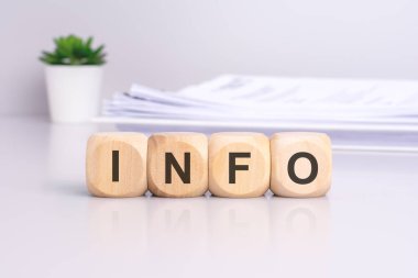 Açık gri bir masada üzerinde INFO yazılı tahta bloklar saksıda bitki ve arka planda dokümanlar var. iş kavramı