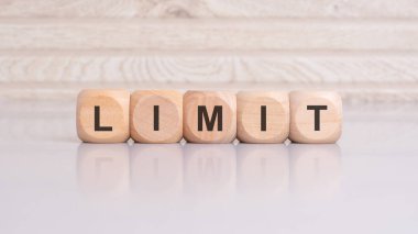 'LIMIT' i heceleyen tahta bloklar mali ve iş kısıtlamalarını simgeliyor