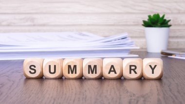 SUMMARY sözcüğünü gösteren tahta bloklar bilginin özünü veya özünü belirtir.