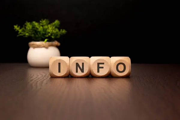 stock image stylish wooden blocks spelling INFO are on a dark table with a small green plant, creating a pleasing scene