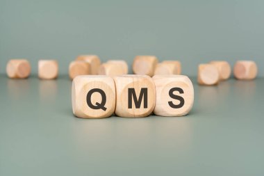 Kalite Yönetim Sistemi 'nin temel kavramlarını sembolize ederek QMS' i hecelemek için sıralanmış tahta bloklar