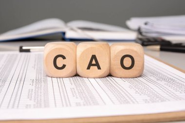 CAO 'yu heceleyen tahta bloklar yaratıcı bir şekilde finansal raporun yer aldığı bir arka plana yerleştiriliyor.