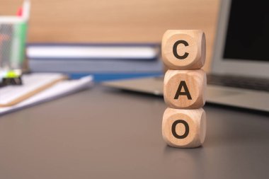 Modern ve dinamik çalışma alanı içinde CAO blokları tarafından temsil edilen yenilikçi ve yaratıcı fikirleri araştırmak