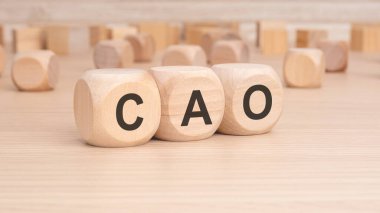 C, A ve O harflerini sanatsal bir şekilde gösteren ahşap blokların detaylı bir yakın plan görüntüsü.