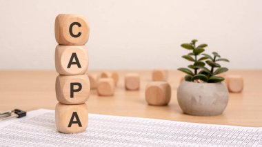 A uniquely creative representation of CAPA principles highlighted through wooden blocks and a stylish potted plant clipart