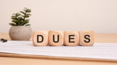 Kağıtların, notların ve yeşil bitkinin yanında DUES sözcüğünü açıkça gösteren tahta bloklar.