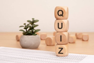 QUIZ iskeletinin ahşap bloklar ve davet edici bir his için sakin bir bitki kullanılarak şık bir temsili.