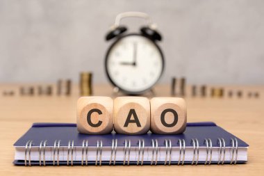 Ahşap bloklar bir defter üzerinde CAO 'yu heceliyor, geçmişi bulanık, antika bir çalar saat ve yığınla bozuk para gösteriyor. zaman yönetimi, finansal planlama, iş stratejileri ve organizasyon