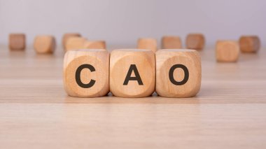 Ahşap bir masada CAO ile ahşap küpler, Yönetim Kurulu Başkanı 'nı temsil ediyor, şirket yönetimi, işletme yönetimi, yönetici rolü, yönetim, karar verme mekanizması, şirket yapısı ve yönetim.