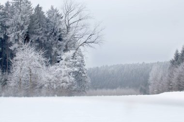 Karlı bir manzara, Almanya 'da kışın ağaçlar