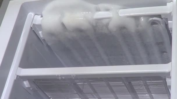 冰霜除霜 冰冰箱清洁 — 图库视频影像