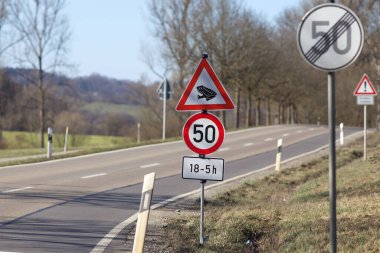 Alman caddesinde kurbağa göçü uyarısı.