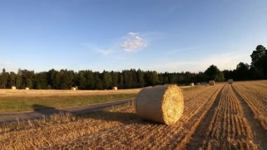 Hasattan sonra tarlada saman balyaları
