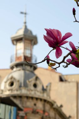 Manolya Önplan 'da Vintage Mimari Kubbe ve Hava Durumu Arkasında Vane Arkasında Artistik Kentsel Bahar Sahnesi