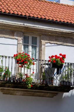 Çiçek kutularındaki parlak kırmızı sardunyalar geleneksel bir Avrupa balkonunu süslü demirlerle süslüyor. Güneş ışığı, büyüleyici konut mimarisini ve canlı çiçekleri vurguluyor.