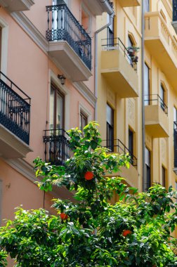 Meyve dolu parlak portakal ağacı işlemeli demir balkonlu pastel binaların önünde duruyor. Güneşli bir Akdeniz şehrini çağrıştırıyor..