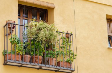 Saksı bitkileri ve canlı yeşilliklerle bezenmiş büyüleyici şehir balkonları şehirde huzurlu bir vaha yaratıyor. Ev işleri ve şehir hayatı için mükemmel bir ilham kaynağı..