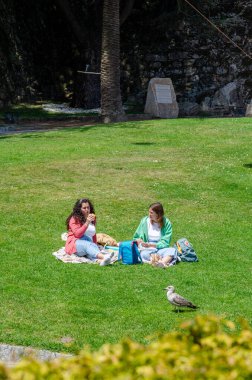 İki arkadaş güneşli bir şehir parkında, yemyeşil çimenler ve doğa ile çevrili bir battaniyede pikniğin tadını çıkarıyorlar. Atıştırmalıklar ve sohbetlerle huzurlu bir açık hava eğlencesi sahnesi yaratıyorlar..