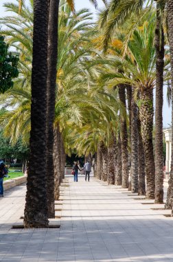 Canlı bir şehir parkında yüksek palmiye ağaçları tarafından çevrelenmiş güzel bir yürüyüş yolu. İnsanlar geziniyor ve rahatlıyor. Huzurlu bir Akdeniz atmosferi yaratıyor. Ve doğal bir kaçış..
