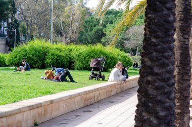 Güneşli bir günde, yeşil ve palmiye ağaçlarıyla çevrili canlı bir şehir parkında huzurlu bir şehir yaşam tarzını yakalayan insanlar rahatlar ve sosyalleşirler..