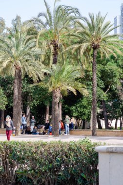 İnsanlar, uzun palmiye ağaçları ve yeşilliklerle çevrili bereketli bir şehir parkında güneşli bir günün tadını çıkarıyorlar. Şehir ortamında huzurlu bir Akdeniz atmosferi yaratıyorlar..