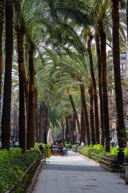 Güneşli bir yaya geçidi, yüksek palmiye ağaçları ve rahat bir açık hava kafesi ile kaplı. Rahatlatıcı bir Akdeniz atmosferi ve canlı bir şehir hayatı yaratıyor..