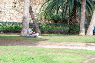Genç adam huzurlu bir şehir parkında palmiye ağaçlarının altında bir ukulele ile rahatlıyor. Sakin bir açık hava eğlencesi, sıradan bir yaşam tarzı ve sakin yeşil bir ortam yakalandı..