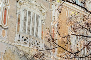 Ayrıntılı barok penceresi ve narin balkonu olan zarif tarihi bina cephesi çiçek açan ağaç dalları tarafından kısmen gizleniyor. Seyahat ve mimari temalar için mükemmel.