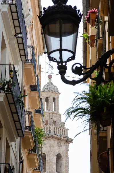 Geleneksel lamba direği ve bereketli balkon bitkileri, eski kilise çan kulesinin, klasik Akdeniz mimarisi ve şehir cazibesini yansıtan manzarasına bakıyorlar..