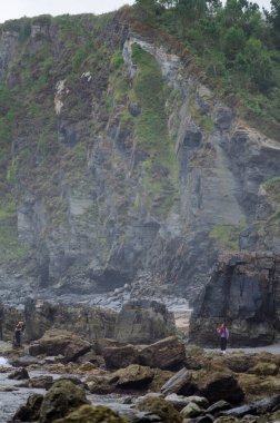 Aşağıdaki kayalık sahili keşfeden iki kişiyle yeşillikle kaplı dramatik bir uçurum. Macera ve seyahat kavramı, doğa ve turizm temaları için uygundur.