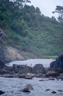 Taşlı bir plajı olan engebeli bir sahil manzarası, karanlık kayaların yakınını keşfeden insanlar ve bulutlu gökyüzünün altındaki yoğun yeşil orman yamacı. Seyahat ve doğa temaları için mükemmel..
