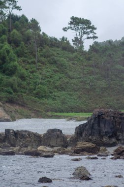 Engebeli kayalar, gür orman yamaçları ve sakin okyanuslar içeren resimli deniz manzarası, doğa yolculuğu ilhamları ve huzur dolu arka planlar için ideal..