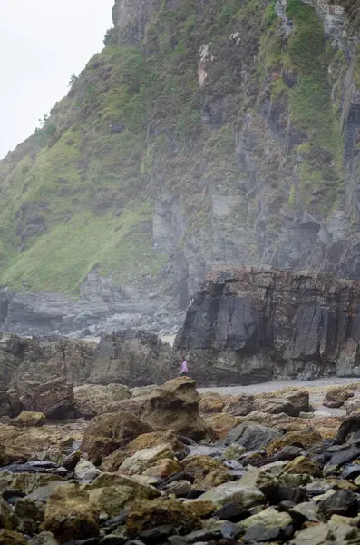 Pembe ceketli yalnız bir insan sisli ve sakin bir günde engebeli bir kıyı şeridi boyunca dramatik uçurumlar ve yosunlu kayalarla çevrili bir şekilde yürür. Doğa ve macera temaları için mükemmel.