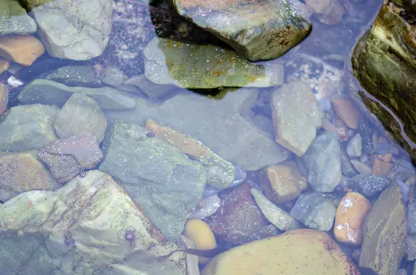 Şeffaf suyun içinden görünen renkli nehir taşları bir dağ deresinde huzur dolu bir zemin oluşturur, rahatlama ve ekolojik kavramlar için mükemmeldir..