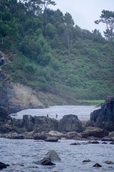 Taşlı bir plajı olan engebeli bir sahil manzarası, karanlık kayaların yakınını keşfeden insanlar ve bulutlu gökyüzünün altındaki yoğun yeşil orman yamacı. Seyahat ve doğa temaları için mükemmel..