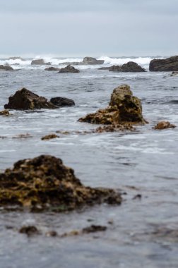 Bulutlu bir gökyüzü altında engebeli kayalar ve köpüklü dalgalarla dramatik deniz kıyısı, kıyı şeridinin vahşi güzelliğini ve karamsar atmosferini yakalıyor..