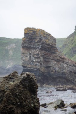 Heybetli deniz yığını, etrafı sisli kayalıklarla ve gelgit kayalarıyla çevrili engebeli bir kıyı şeridinde duruyor. Huzuru ve doğal güzelliği çağrıştırıyor. Seyahat ve macera kavramları için ideal..