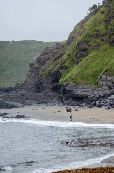 Yalnız bir insan, uzak bir sahilde, yeşilliklerle kaplı dramatik kayalıkların yanında duruyor. Huzurlu ve doğada yansıtıcı hissediyor. Yalnızlık ve macera kavramları için mükemmel..