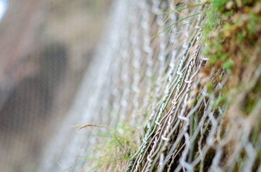 Çimenler ve yosunlarla birlikte büyüyen metal zincir çitlerin yakın görüntüsü doğal bir açık hava bariyeri ve güvenlik konsepti oluşturur..